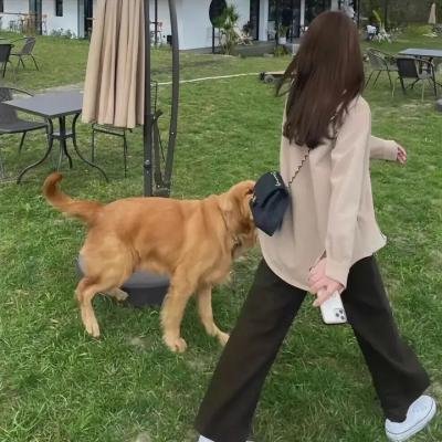 沉默的巡游